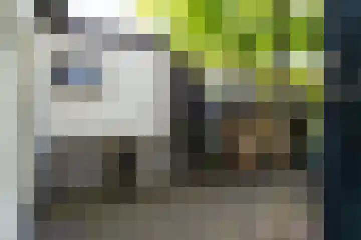 Langesteeg 6 Werkendam thumbnail 34