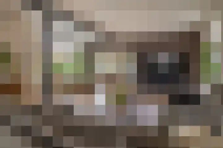 Langesteeg 6 Werkendam thumbnail 38