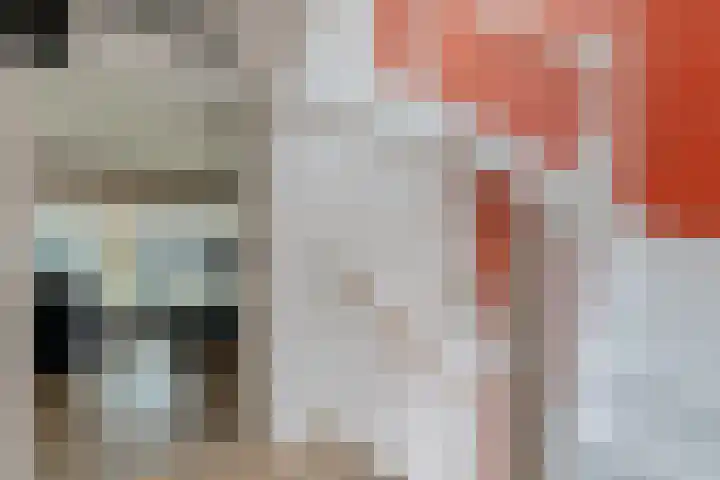 Langestraat 242 Groningen thumbnail 27