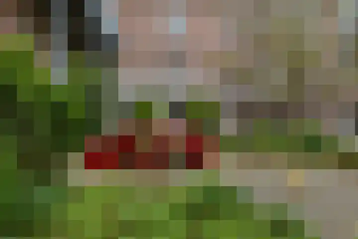 Langestraat 242 Groningen thumbnail 4