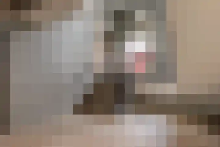 Langestraat 242 Groningen thumbnail 5