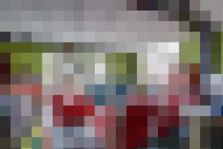 Langestraat 47 Braamt thumbnail 21