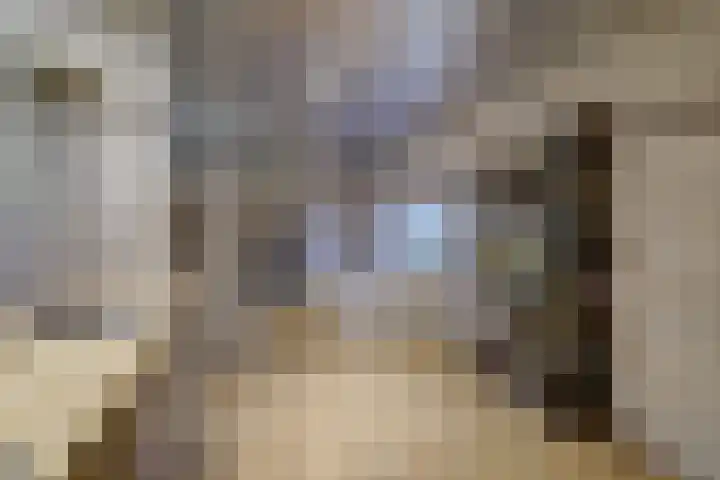 Langestraat 47 Braamt thumbnail 28