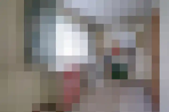 Langestraat 47 Braamt thumbnail 57