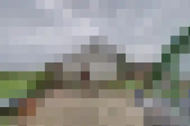 Langestraat 47 Braamt thumbnail 7