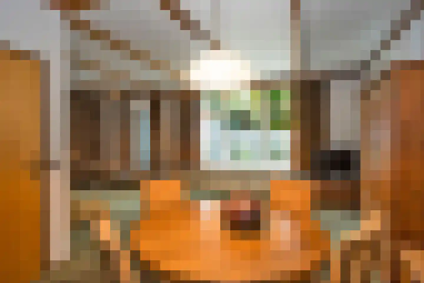 Langestraat 5 Delden thumbnail 10