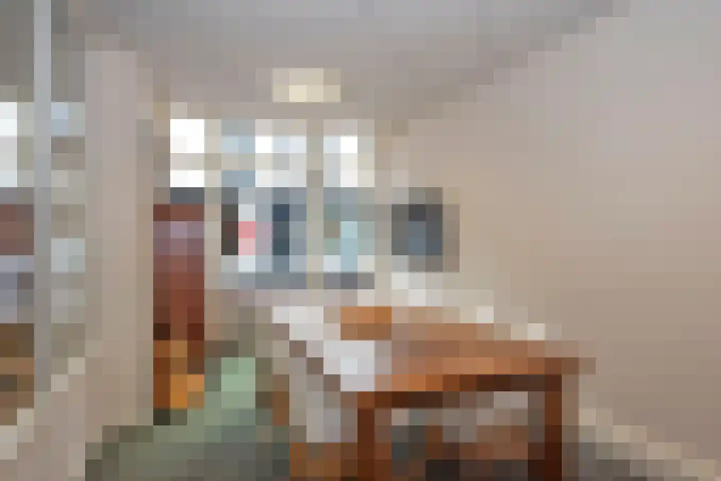 Langestraat 5 Delden thumbnail 29