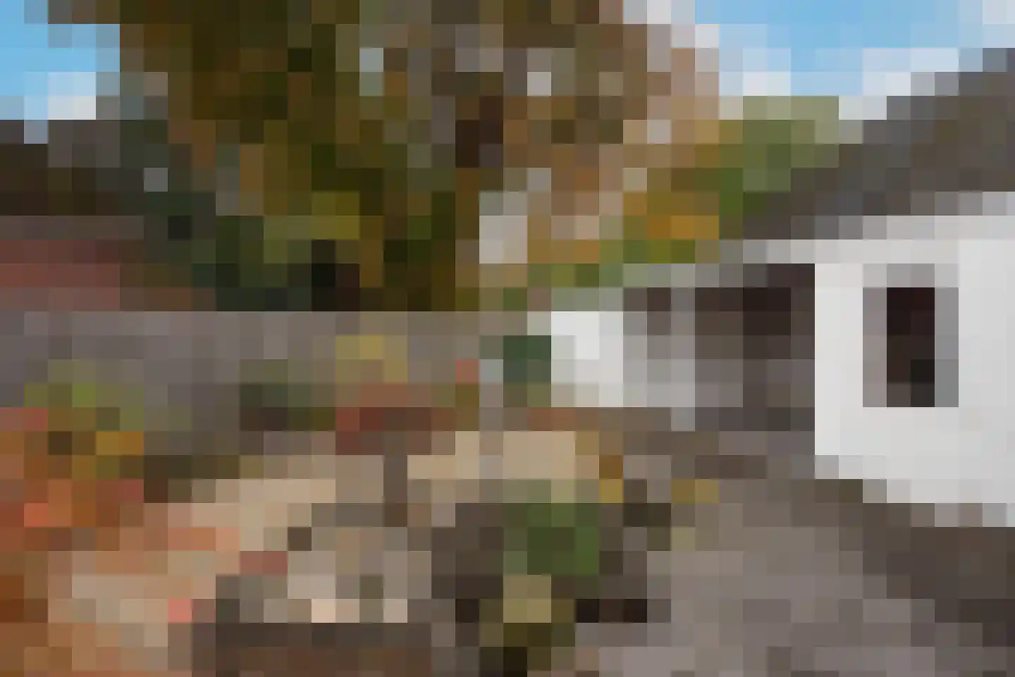 Langestraat 5 Delden thumbnail 33