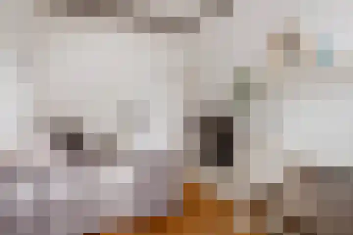Langestraat 7 Huizen thumbnail 20