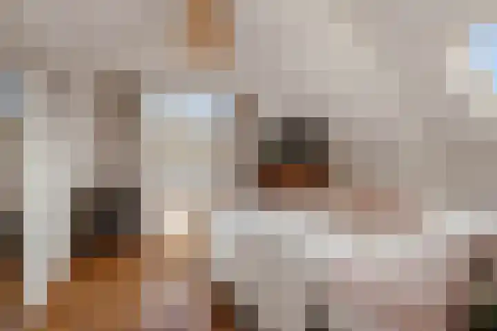 Langestraat 7 Huizen thumbnail 22
