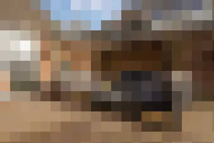 Langestraat 7 Huizen thumbnail 37