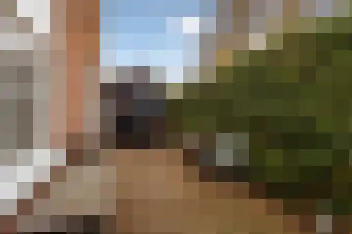 Langestraat 7 Huizen thumbnail 38