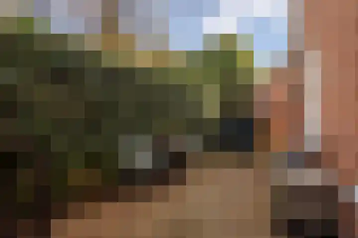 Langestraat 7 Huizen thumbnail 39