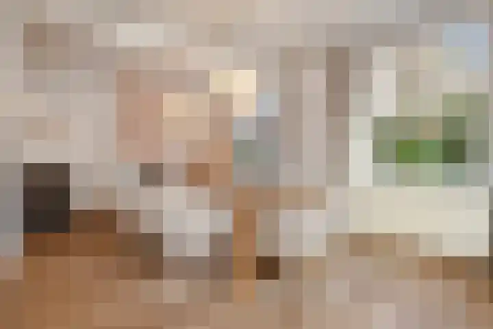 Langestraat 7 Huizen thumbnail 4