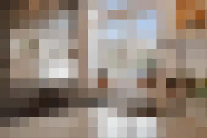 Langestraat 7 Huizen thumbnail 9
