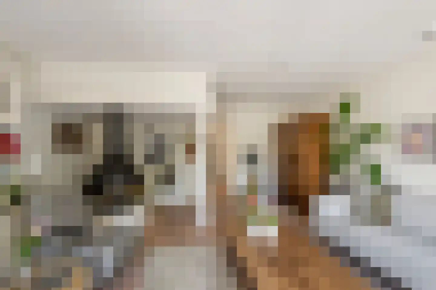 Langestraat 91 's-Gravenzande thumbnail 14