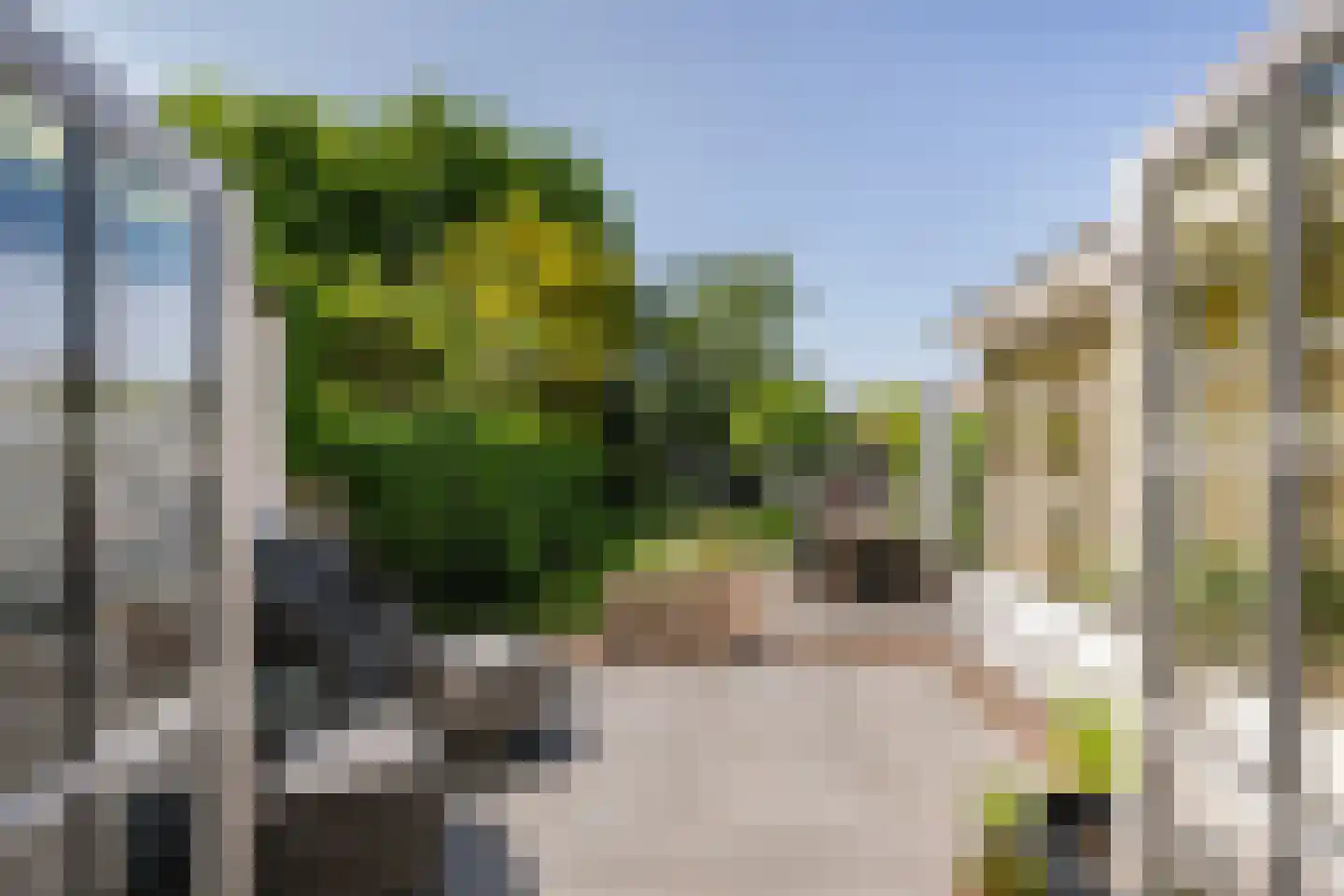 Langestraat 91 's-Gravenzande thumbnail 16
