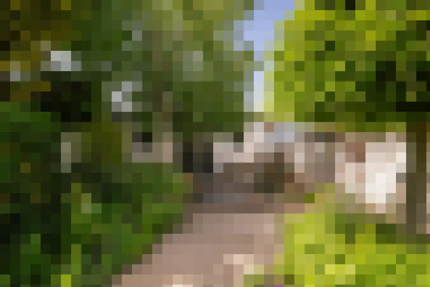 Langestraat 91 's-Gravenzande thumbnail 20