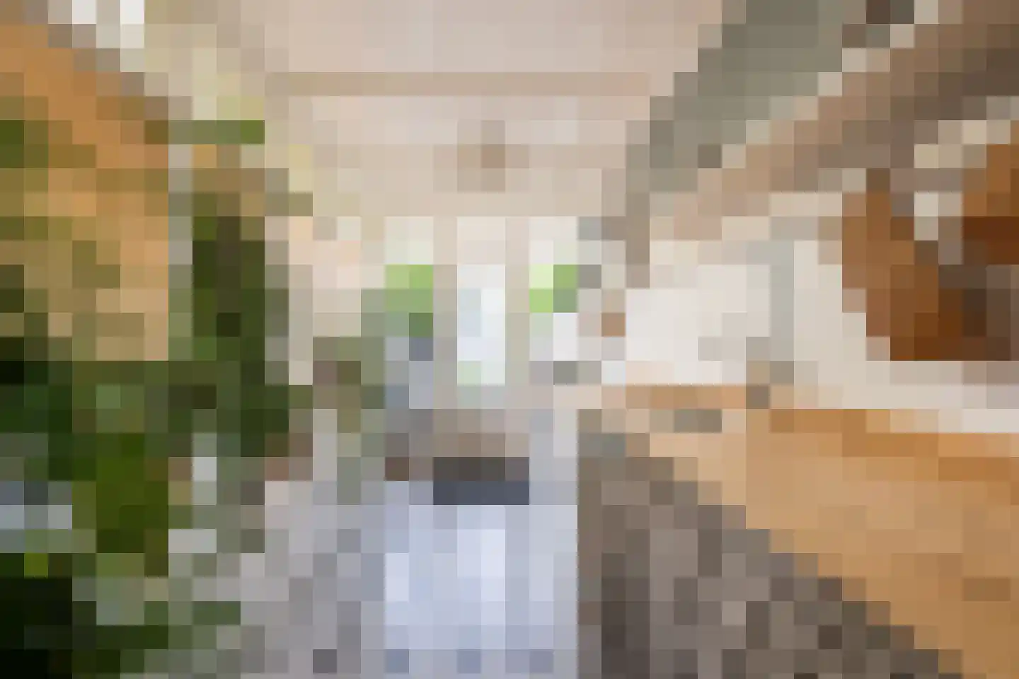 Langestraat 91 's-Gravenzande thumbnail 24