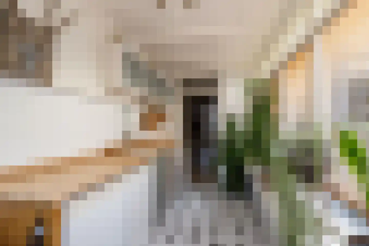 Langestraat 91 's-Gravenzande thumbnail 25
