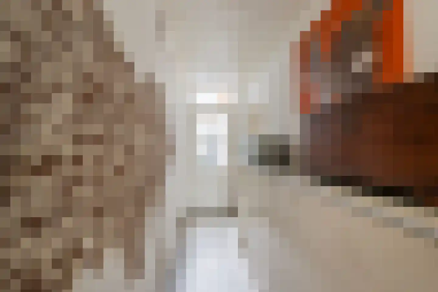 Langestraat 91 's-Gravenzande thumbnail 26