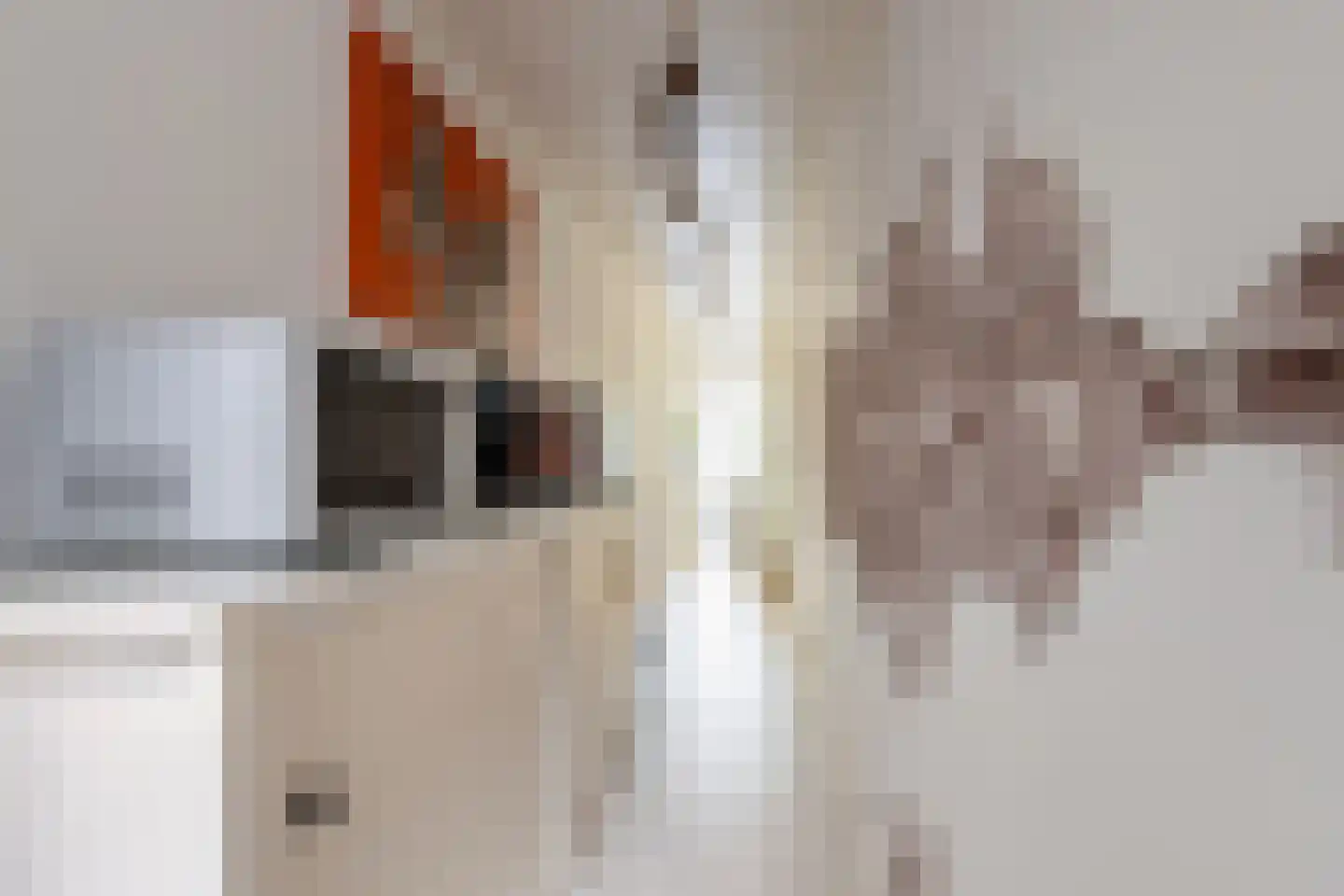 Langestraat 91 's-Gravenzande thumbnail 27