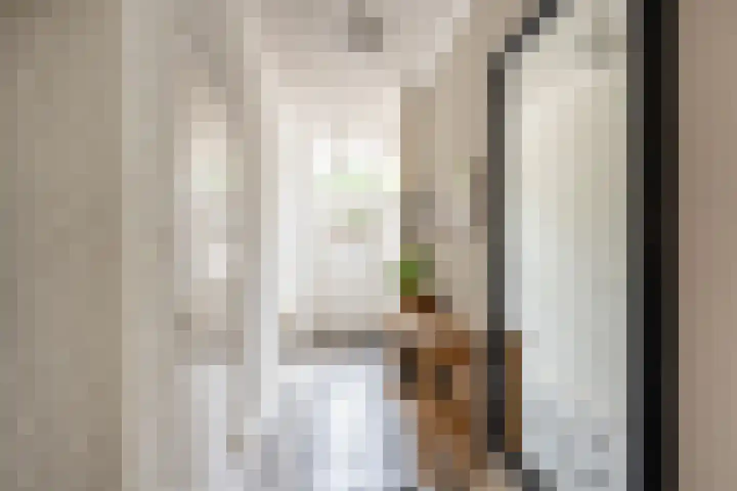 Langestraat 91 's-Gravenzande thumbnail 28