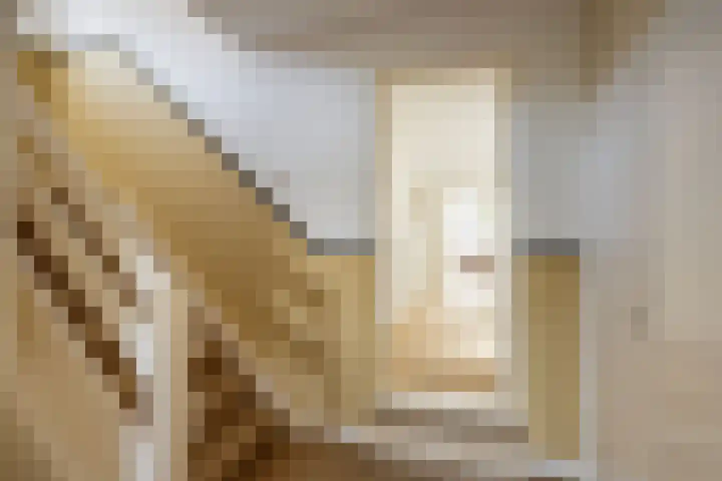 Langestraat 91 's-Gravenzande thumbnail 32