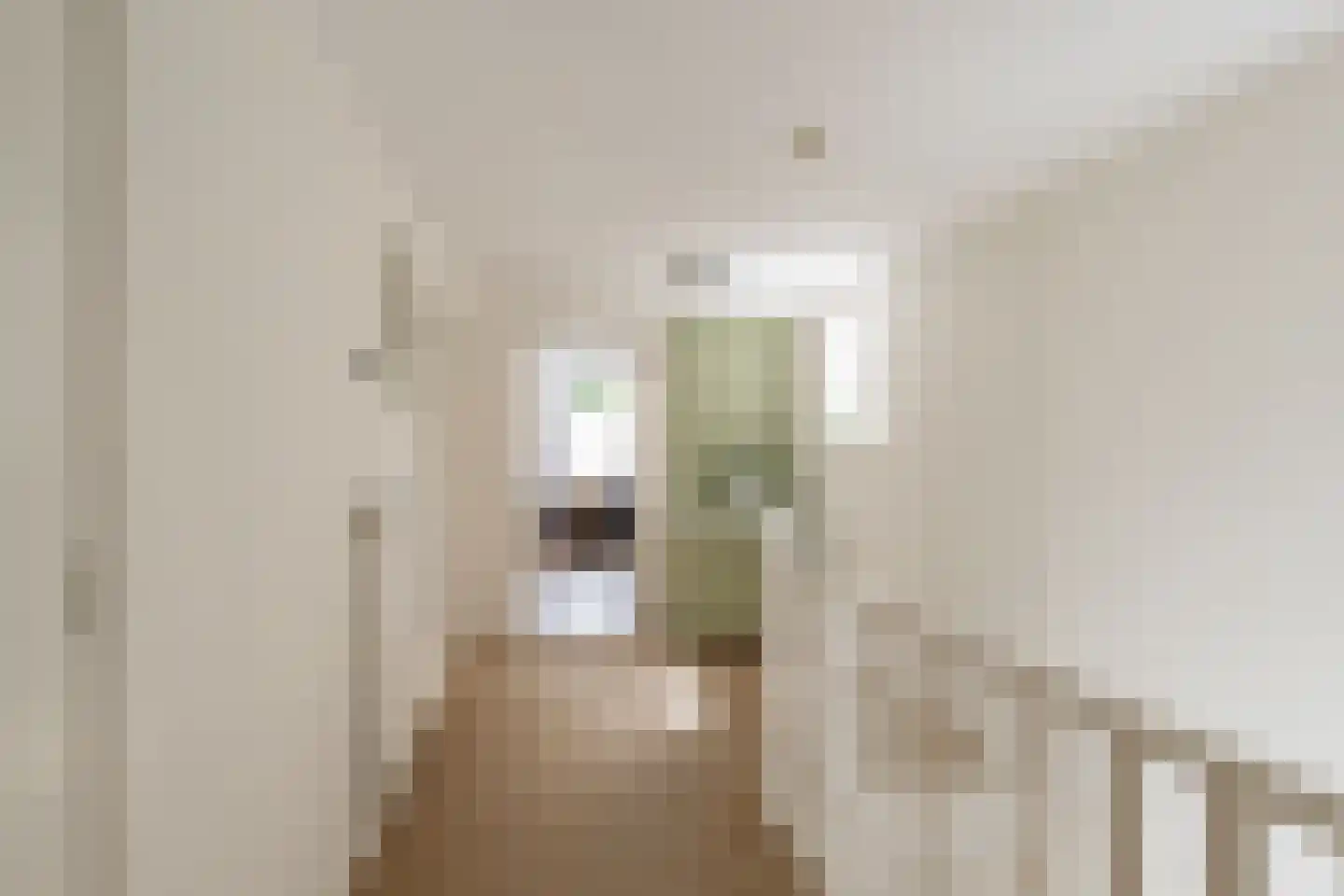 Langestraat 91 's-Gravenzande thumbnail 33