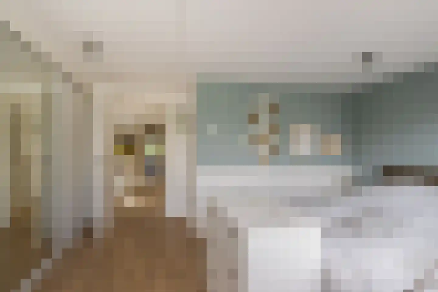 Langestraat 91 's-Gravenzande thumbnail 37