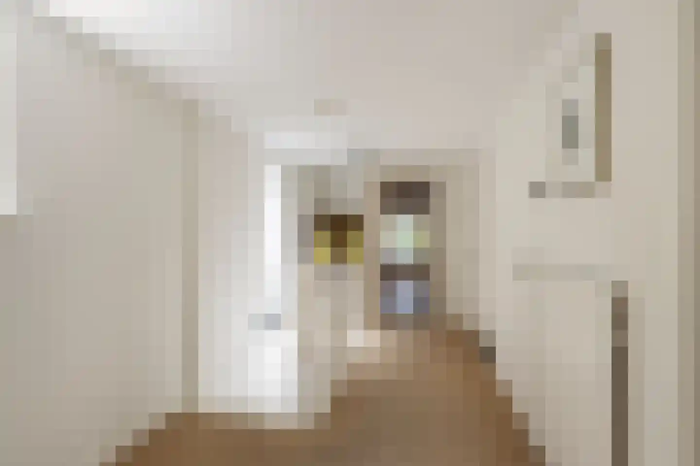 Langestraat 91 's-Gravenzande thumbnail 40