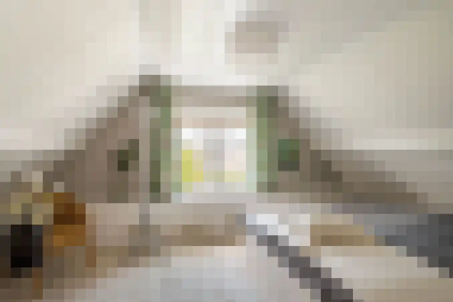 Langestraat 91 's-Gravenzande thumbnail 47