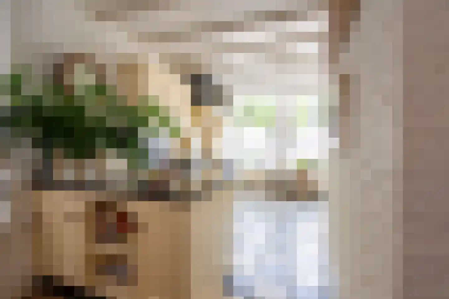 Langestraat 91 's-Gravenzande thumbnail 5