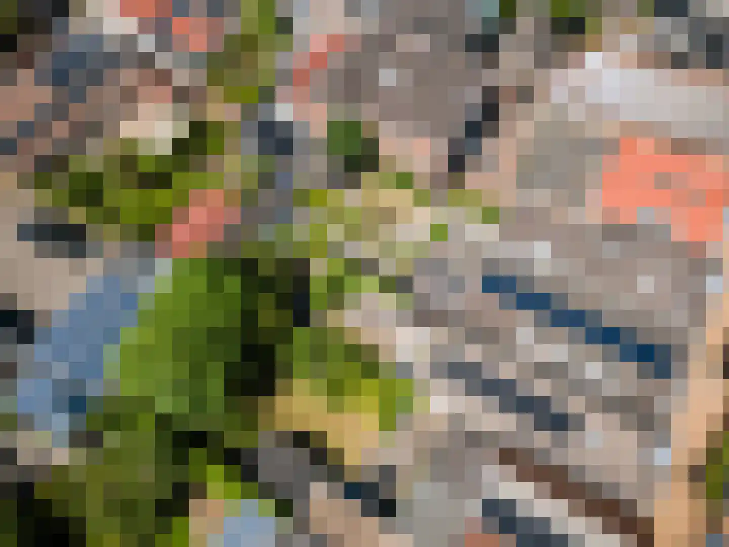 Langestraat 91 's-Gravenzande thumbnail 57