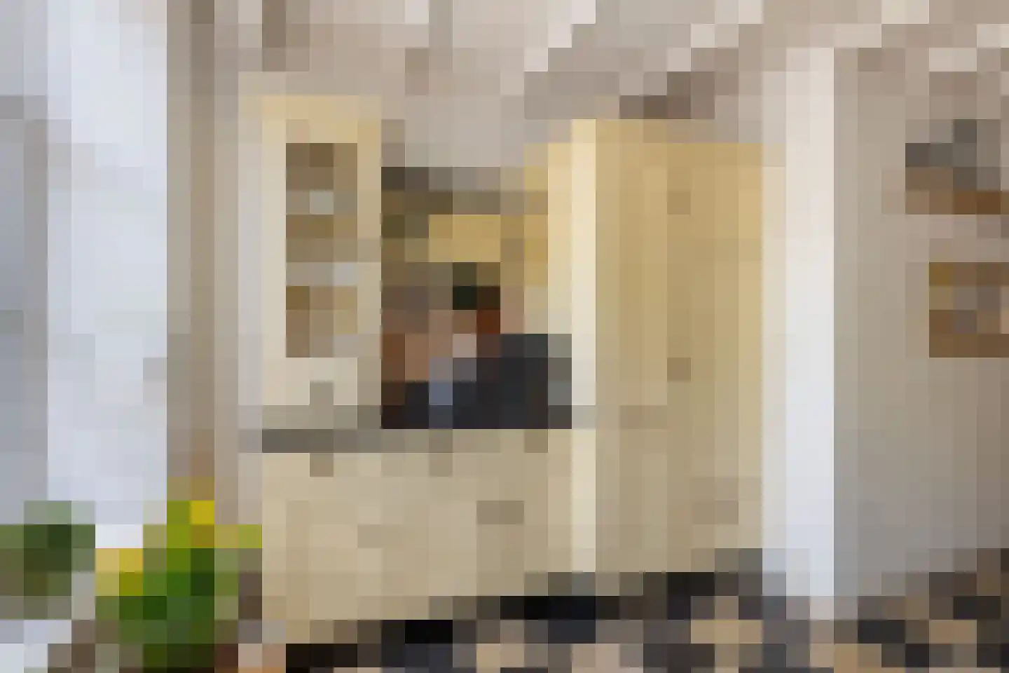 Langestraat 91 's-Gravenzande thumbnail 8