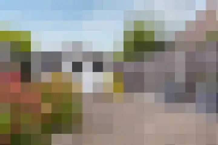 Langetuin 143 Zwaag thumbnail 33