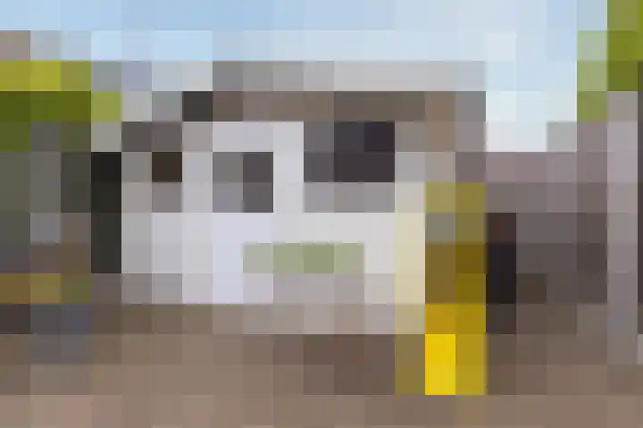 Langetuin 143 Zwaag thumbnail 36