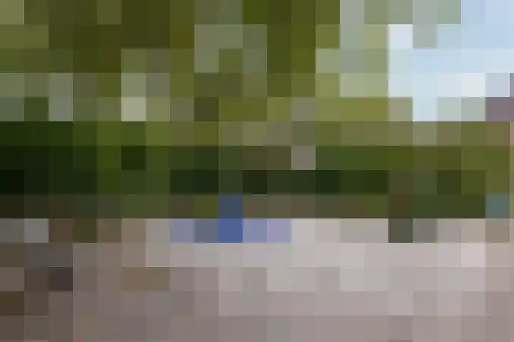Langetuin 143 Zwaag thumbnail 37