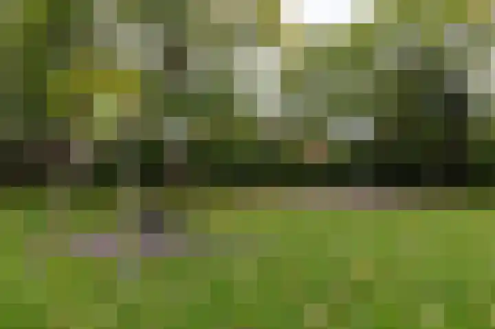 Langetuin 143 Zwaag thumbnail 38