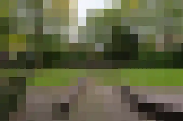Langetuin 143 Zwaag thumbnail 39