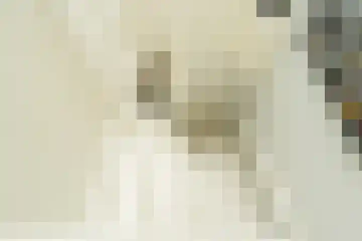 Langetuin 192 Zwaag thumbnail 10