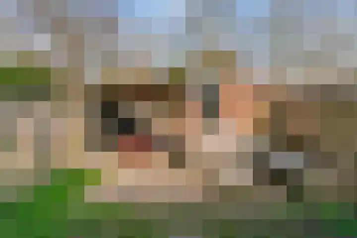 Langetuin 192 Zwaag thumbnail 34