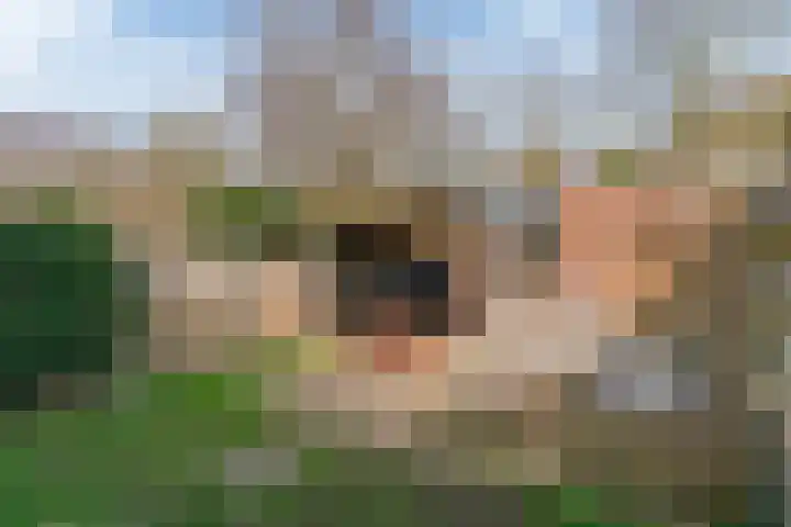 Langetuin 192 Zwaag thumbnail 35