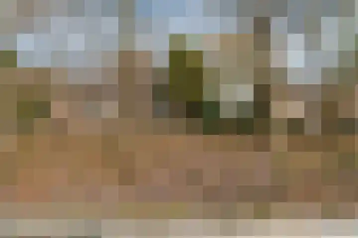 Langetuin 192 Zwaag thumbnail 37