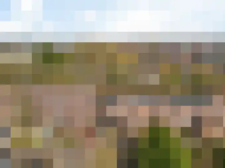 Langetuin 192 Zwaag thumbnail 4