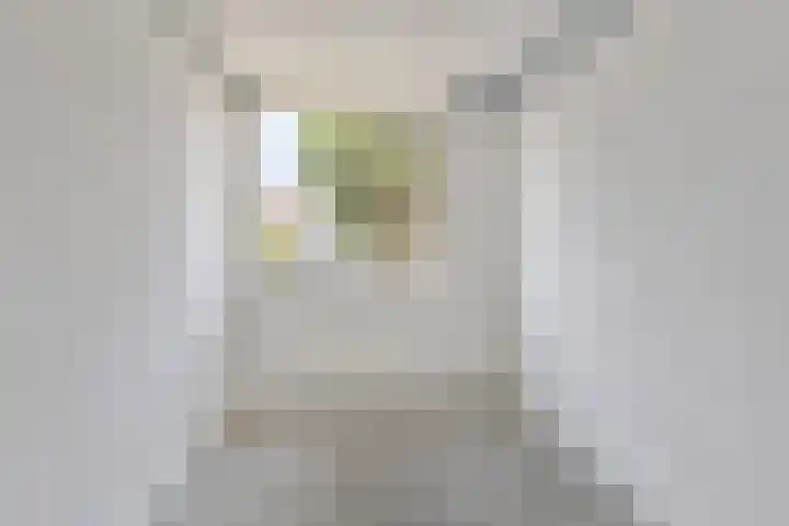 Langetuin 192 Zwaag thumbnail 41