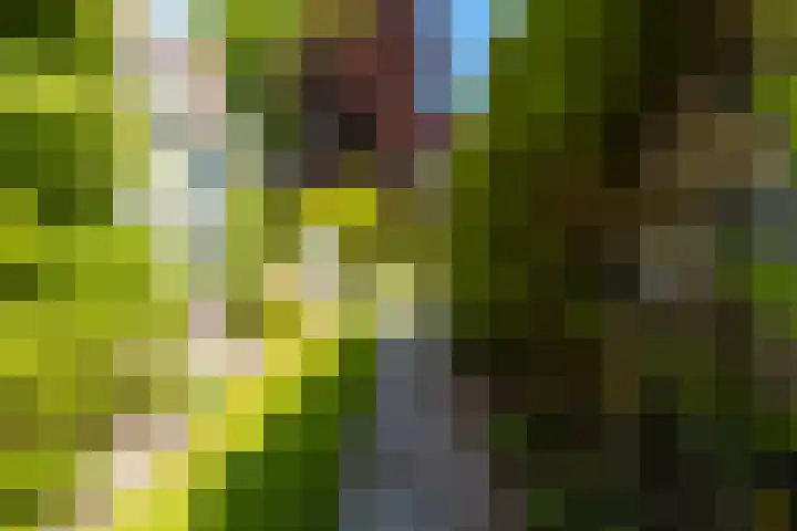 Langewâl 72 Gorredijk thumbnail 13