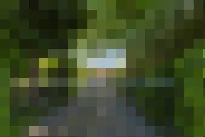 Langewâl 72 Gorredijk thumbnail 18