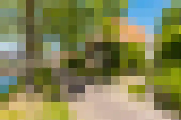 Langewâl 72 Gorredijk thumbnail 9