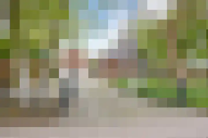 Langeweg 1 Grootegast thumbnail 10